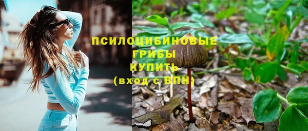 прущая мука Алзамай